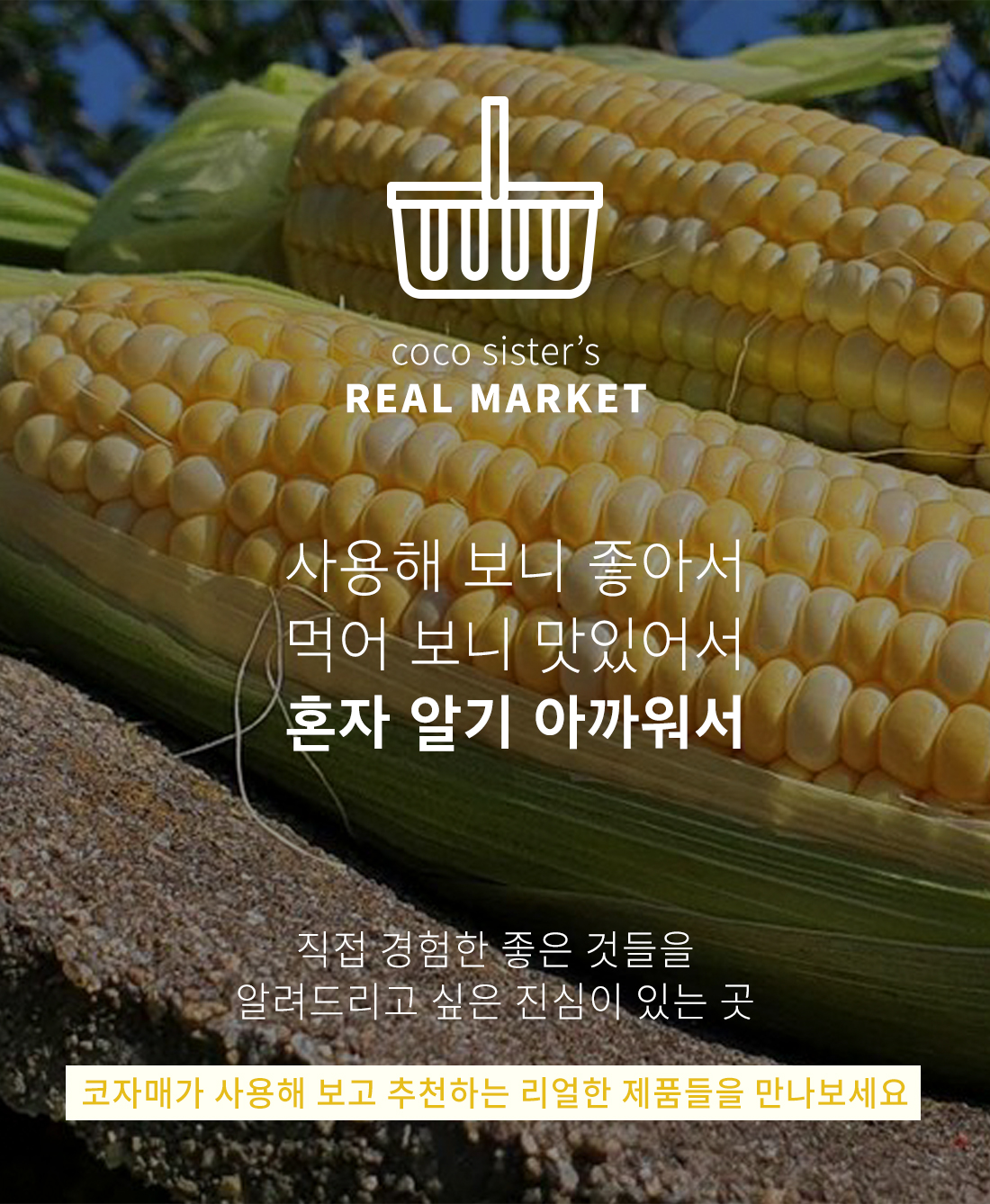 Jeju primium Chodang Corn