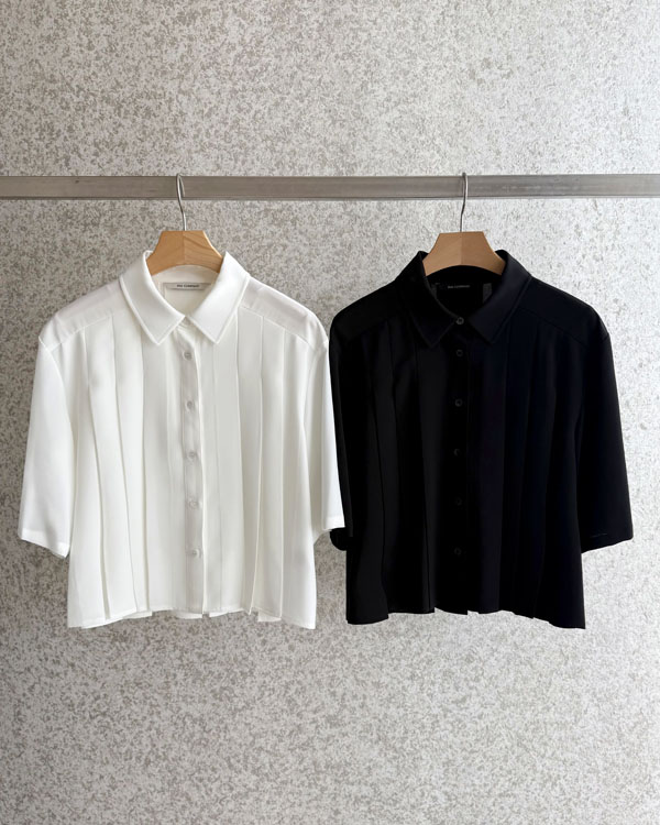 Pleats Blouse